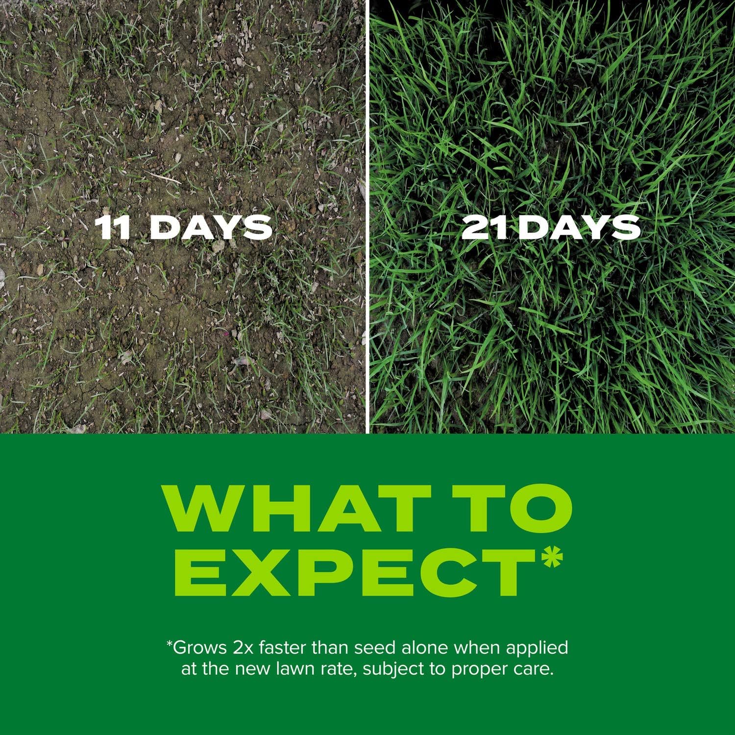 Scotts Turf Builder Rapid Grass Tall Fescue Mix: up to 5,280 sq. ft., Combination Seed & Fertilizer, Grows in Just Weeks, 16 lbs. Pack of 2