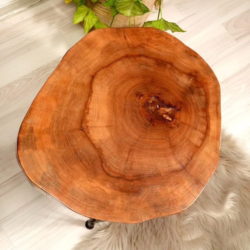 Custom Walnut Live Edge Coffee Table, Solid Wood Table, Round Coffee Table, Wooden Side Table, Rustic Furniture, Unique Mid Century Modern (24" (60 cm))