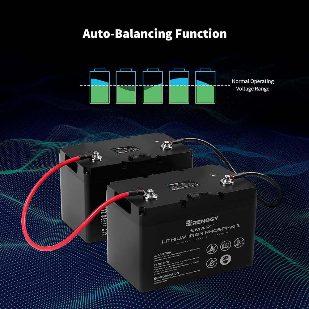 Renogy 12V 100Ah LiFePO4 Deep Cycle Lithium Battery, over 4000 Cycles, Built-in BMS, Backup Power for RV, Marine, Off-Grid System, Maintenance-Free