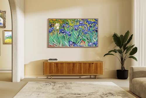 Hisense 65-Inch Class QLED 4K S7N CanvasTV? Series Dolby Vision HDR Google Smart TV (65S7N, 2024 Model) - Art Mode, Anti-Glare Panel, Hi-Matte Display, Frame & UltraSlim Wall Mount Included, 144Hz