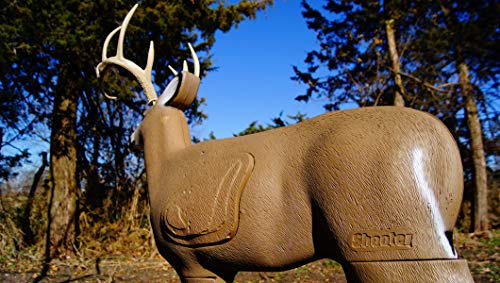 Shooter Buck 3D Deer Archery Target