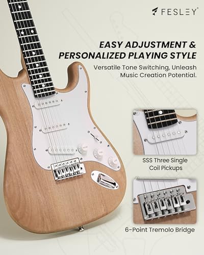 Fesley DIY LP Style Electric Guitar with Mahogany Wood Body/Neck, 6 String, Techwood Fretboard, H-H Pickups, Flamed Maple Veneer Top, Build Your Own Guitar Kit - Natural