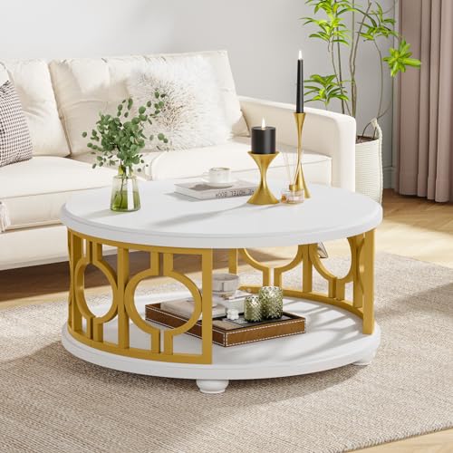 2-Tier Coffee Table, Modern Round Center Table with Storage Shelf for Living Room