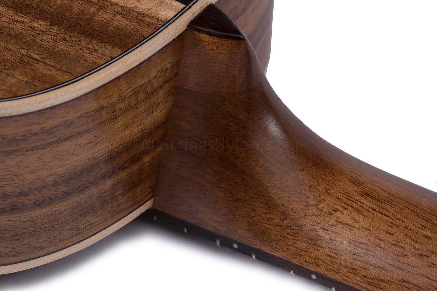 Cordoba 25CK Concert Ukulele