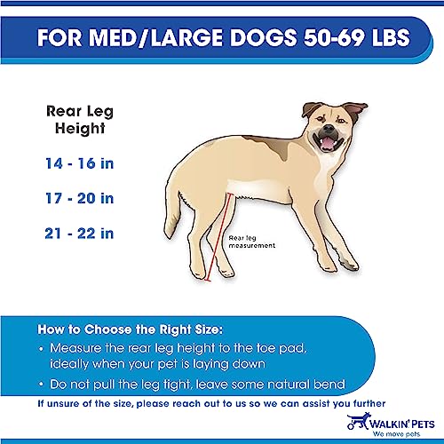 Walkin' Wheels Dog Wheelchair - for Med/Large Dogs 50-69 lbs - Veterinarian Approved - Dog Wheelchair for Back Legs