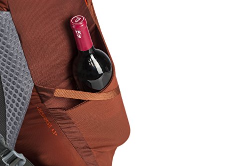 Gregory Mountain Products Men's Baltoro 75