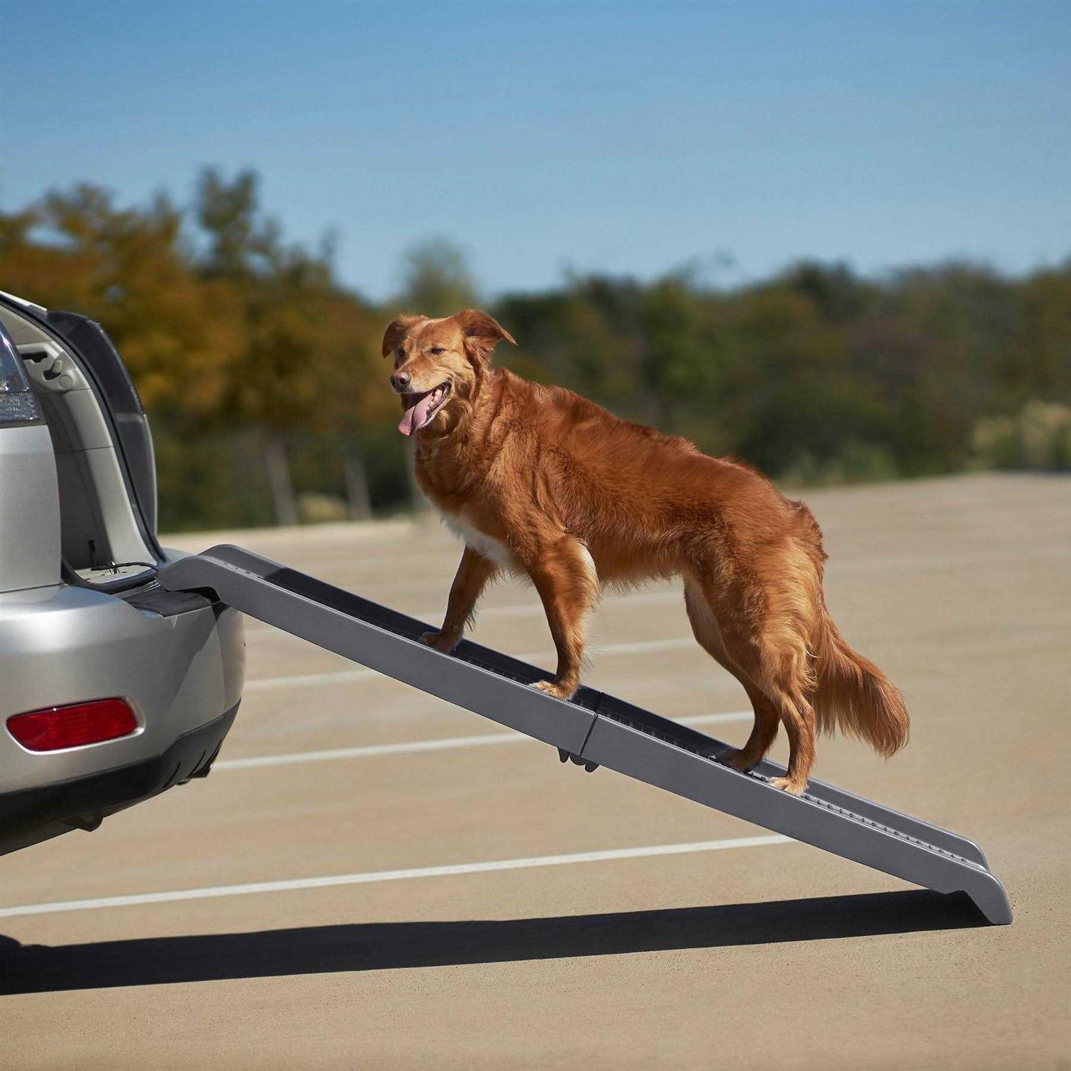 Frisco Bi-Fold Plastic Travel Pet Ramp - Pet Supplies online store