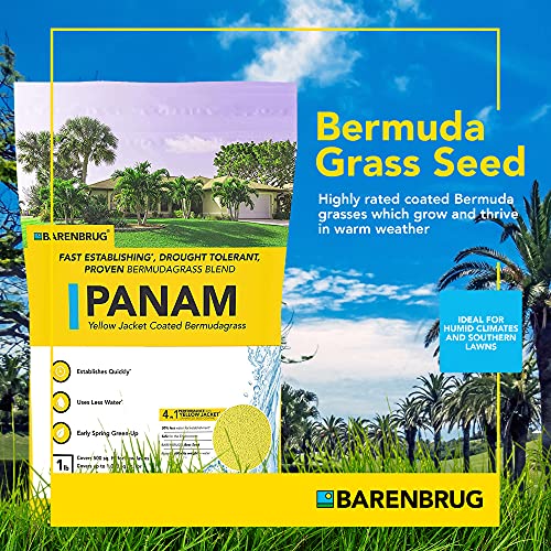 Barenbrug 25016 Bermudagrass Grass Seed for Sunny Areas and Humid Climates, 25 LB Bag