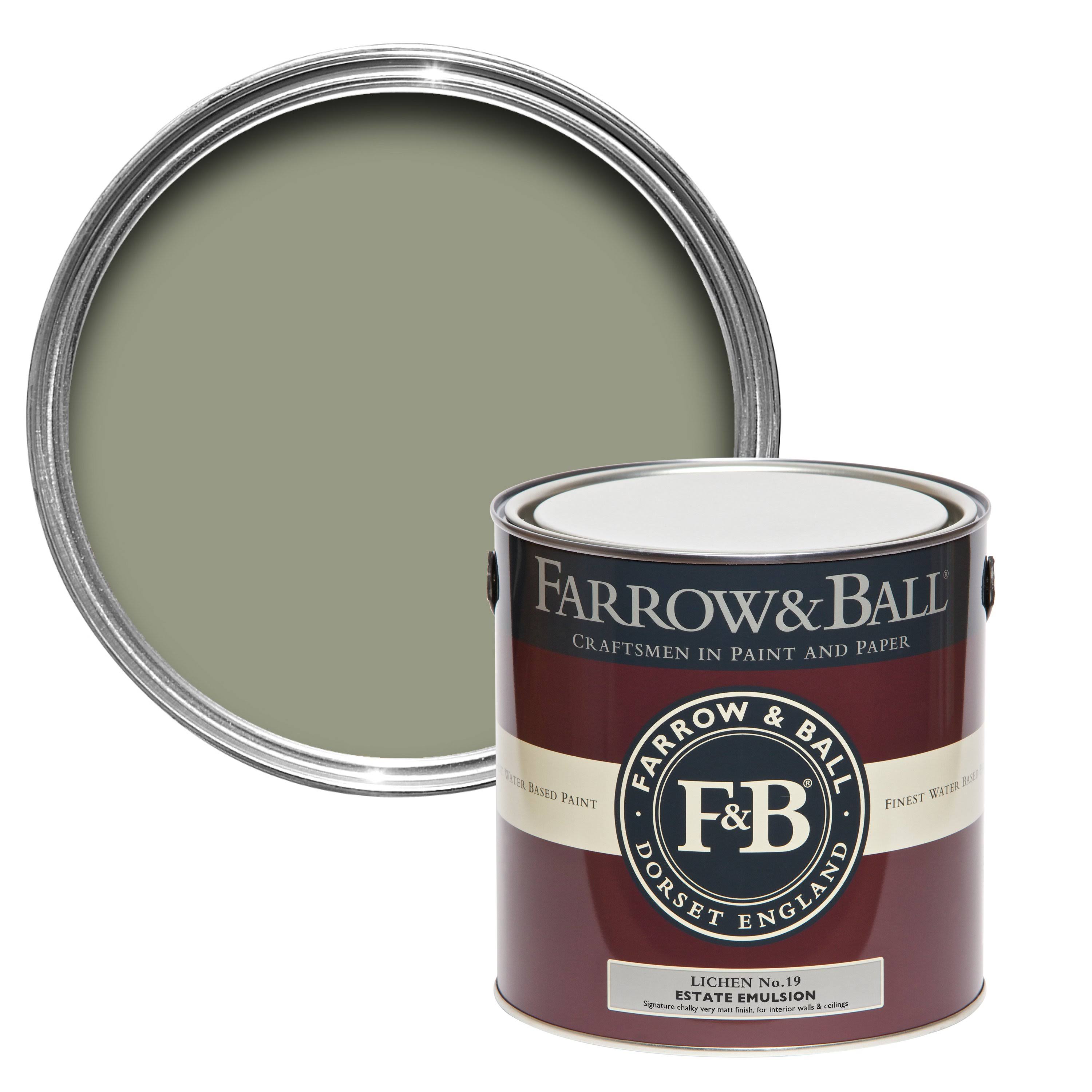 Farrow u0026 Ball Lichen Paint US Gallon Exterior Masonry No.19