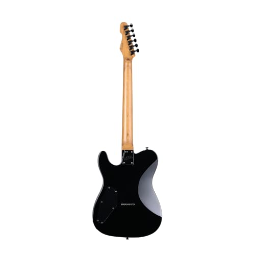 ESP LTD TE-200DX Electric Guitar - Purple Burst