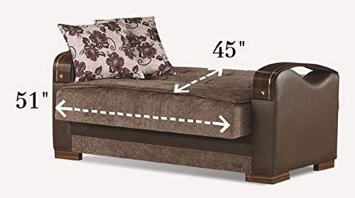 Empire Furniture USA LS-Rochester Rochester Collection Convertible Sofa Bed with Storage Space Includes 2 Pillows, Brown