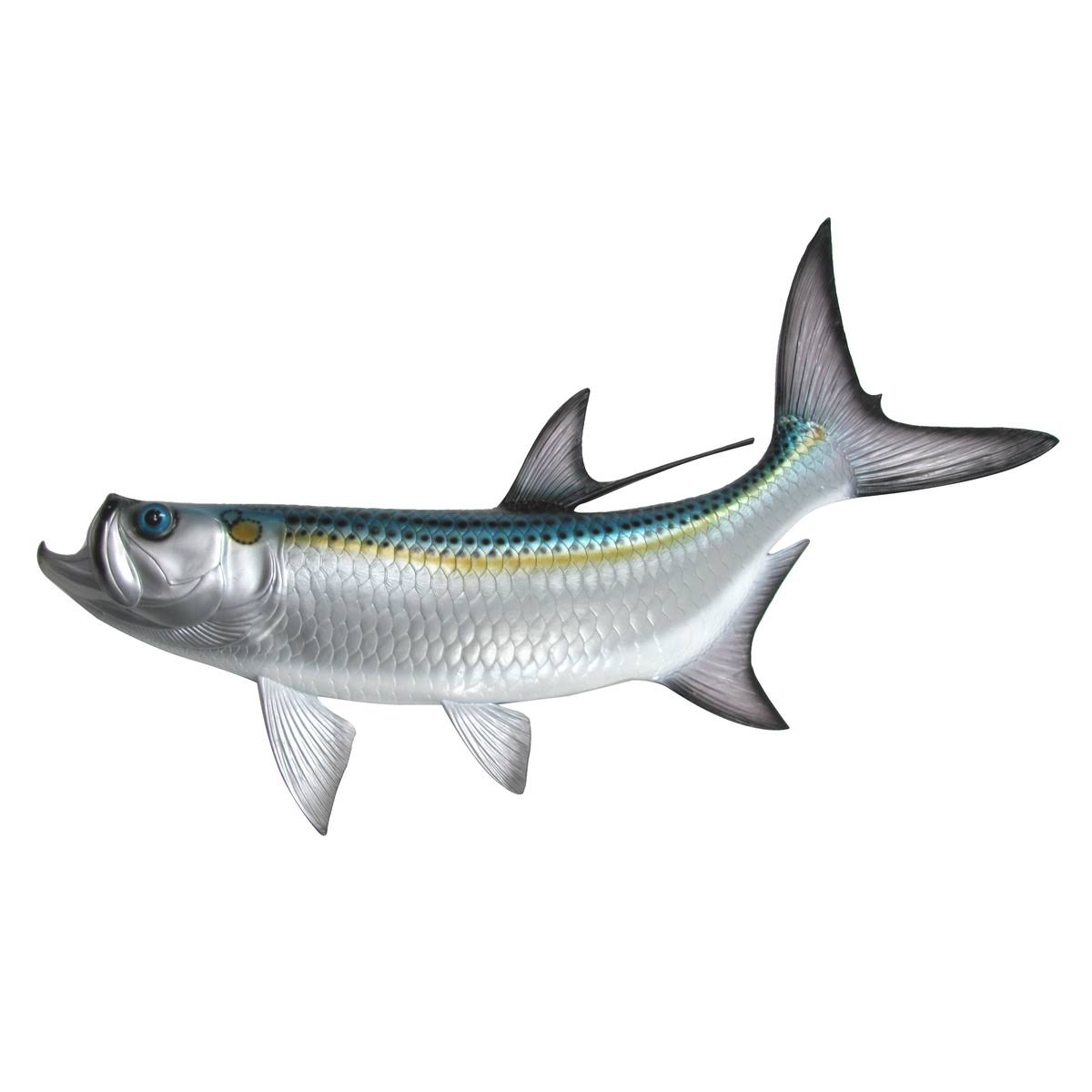 Treasure Gurus 48x22 Tarpon Saltwater Trophy Taxidermy Wall Mount Fish Hand Painted Lifelike Plaque