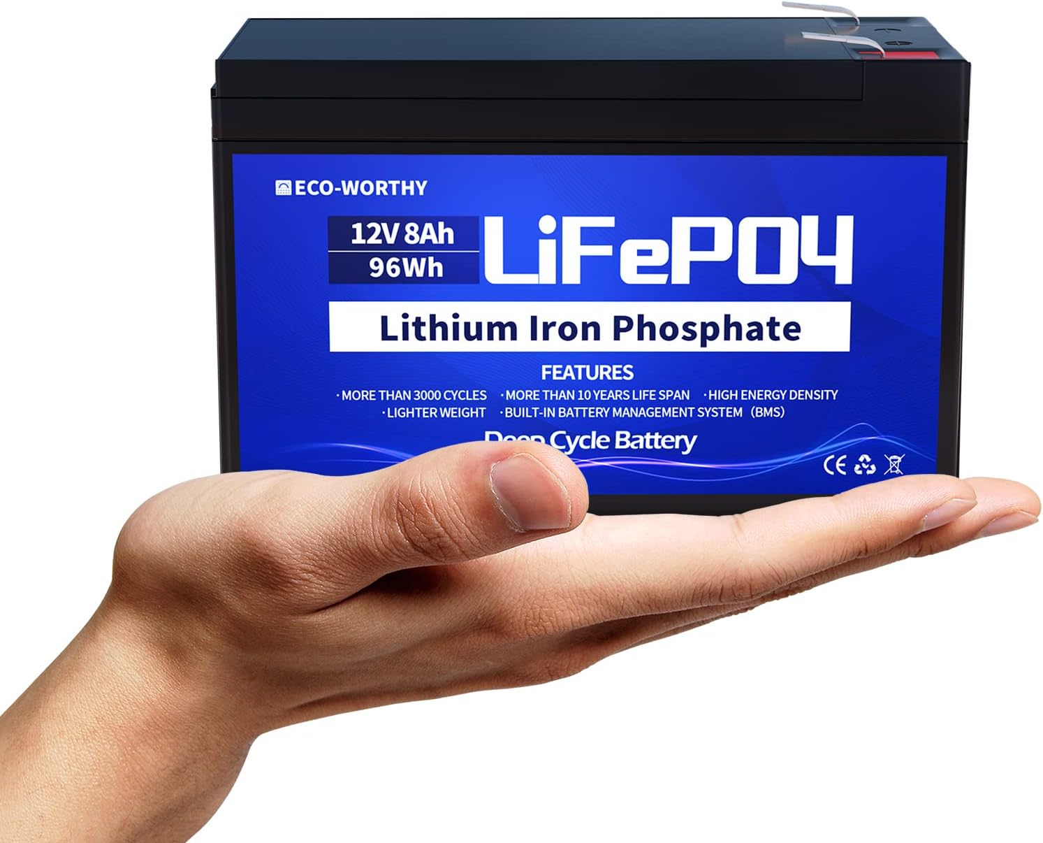 12V 8Ah Rechargeable LiFePO4 Lithium Iron Phosphate Battery with 3000+ Times Deep Cycles and BMS Protection for Fish Finder, Ham Radio, Scooter, Light, Kids Car Pack of 2