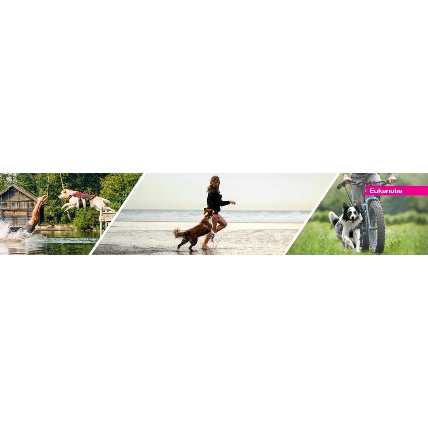 Eukanuba Adult Dry Dog Food - Pet Supplies online store