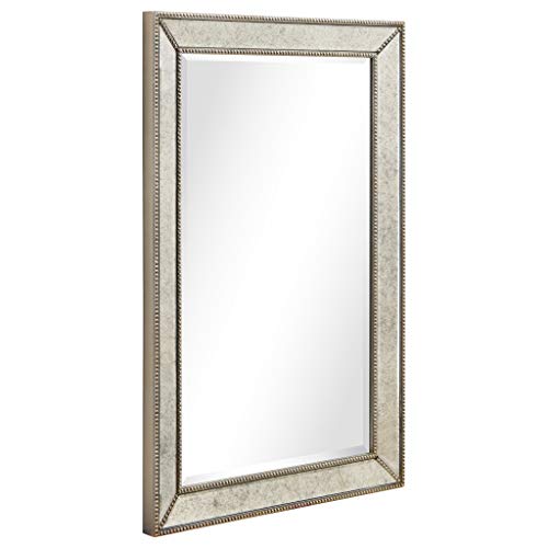 Empire Art Direct Solid Wood Frame Wall, 1"-Beveled Center Antique Mirror for Bathroom, Bedroom, Living Room, Ready to Hang, 24" x 54", Champagne