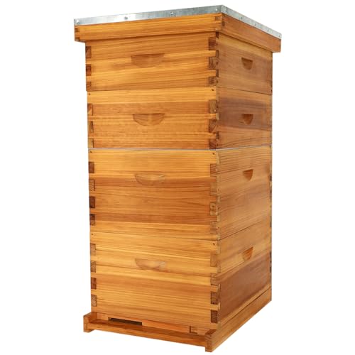Bee Hive-10 Frame Beehive Starter Kit,Beeswax Coated Bee Hives for Bee Keeper,Beehive Include 1 Deep Bee Box and 1 Medium Bee Hive Box with Frame and Foundation(Unassembled)