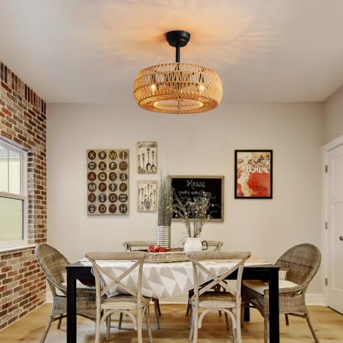 20" Farmhouse Caged Ceiling Fan with Lights Remote Control, Cage Low Profile Bladeless Ceiling Fan, Boho Ceiling Fans with Light for Kitchen, Bedroom, Dining Room