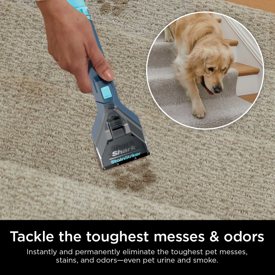 Shark StainStriker Portable Carpet & Upholstery Cleaner, Spot, Stain and Odor Elminator, PX200, Navy