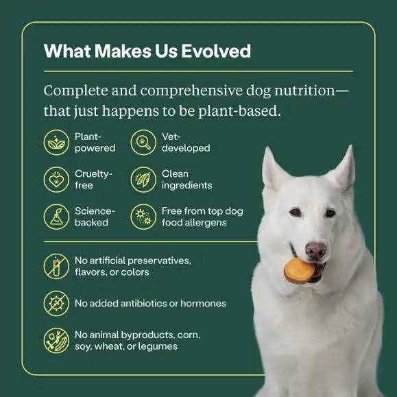 Wild Earth Veggie Chick'n Kabob Flavor Performance Formula Dry Dog Food - Pet Supplies online store