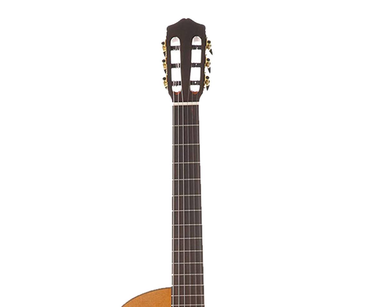 Cordoba C7-CE Acoustic-Electric Classical Guitar