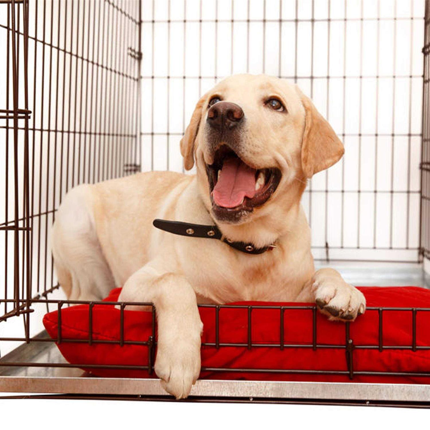 KOPEKS Galvanized Metal Tray for Dog Crates, Pet Kennels, Restaurant Grease Traps, and Floor Protection - Pet Supplies online store