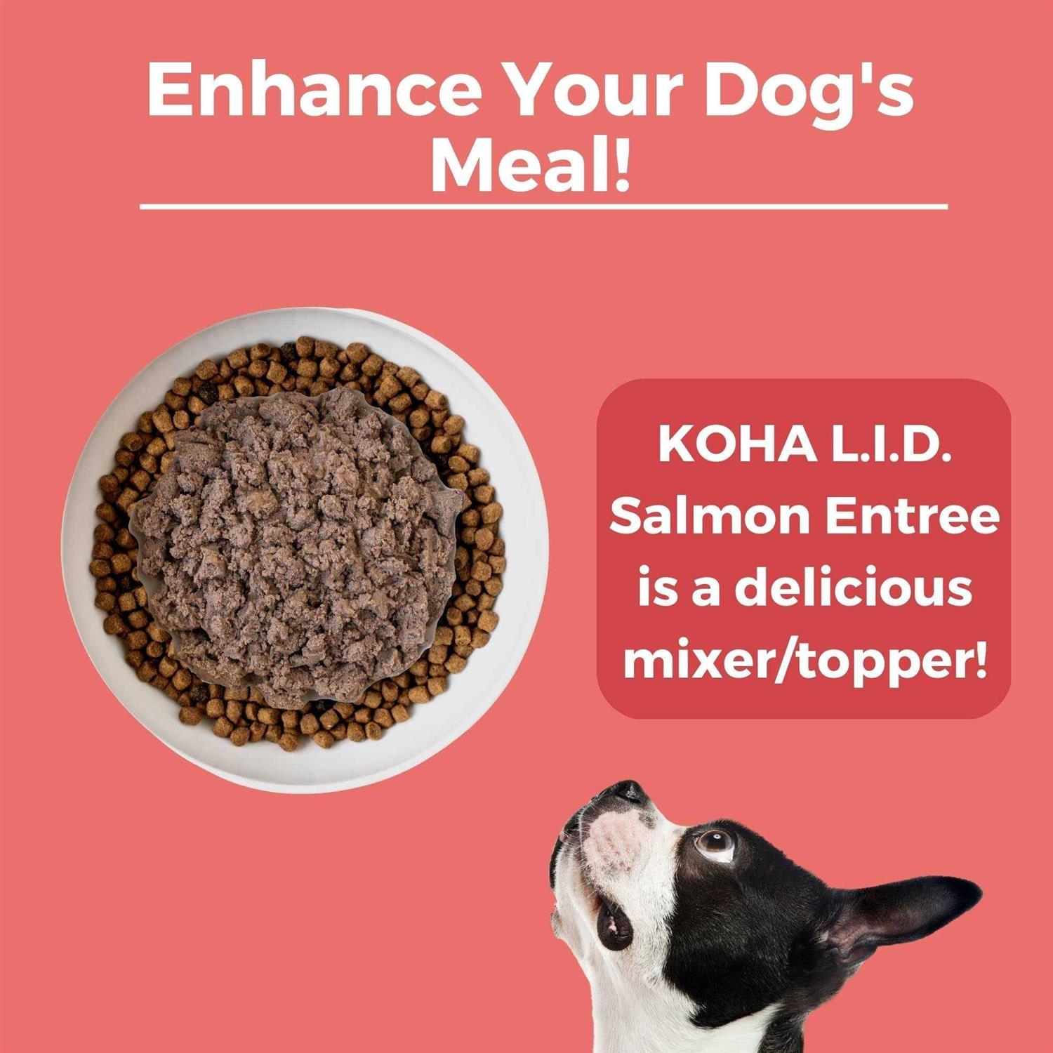 Koha Grain &amp; Potato Free Limited Ingredient Diet Salmon Entree with Pumpkin Canned Dog Food - Pet Supplies online store