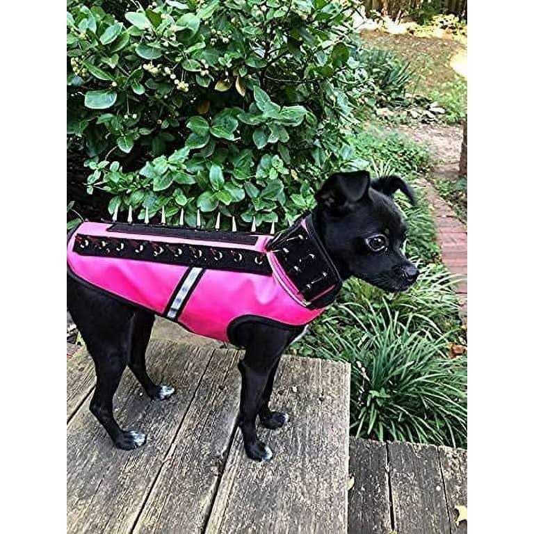 CoyoteVest SpikeVest Dog Harness Vest Reflective Dog Accessories with Spikes to Shield Your Pet from Raptor and Animal Attacks - Pet Supplies online store