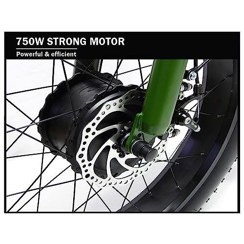 Electric Trike Adults, 380lbs, 24-20" Fat Tire 3 Wheel Electric Bicycle, 750W 48V 15Ah Removable Battery, Electric Tricycle 350lbs for Seniors