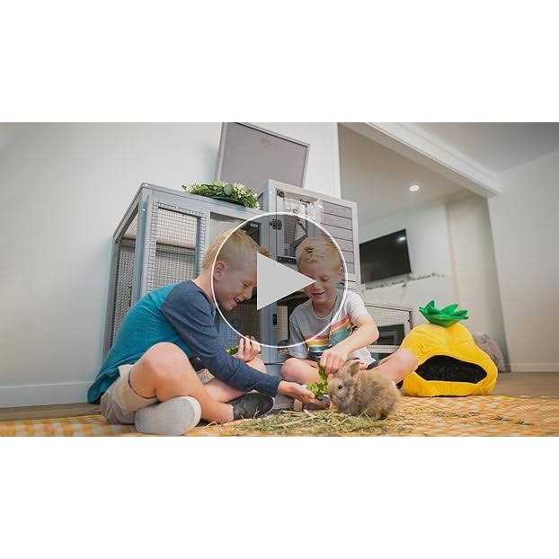 Aivituvin Indoor Outdoor Rabbit Animals - Pet Supplies online store