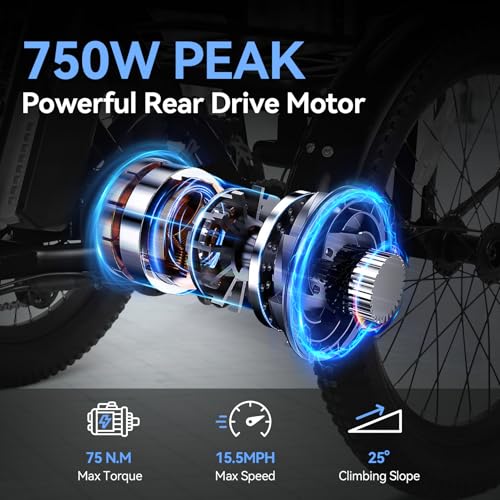 Vivi T01 20" x2.6 Fat Tire Electric Tricycle for Adults, 750W Peak 20'' Folding 3 Wheels Electric Bike, 95% Pre-Assembled, Speed Differential, 15.5MPH Eletric Trike with Bracket