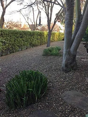 Standartpark - HEXpave Grid - 1x22 Depth Permeable Paver System - 27,000 lbs Load Class - DIY Patio, Walkway, Shed Base, Light V