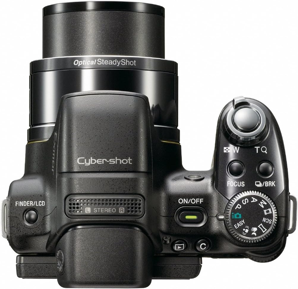 Sony Cybershot DSC-HX1 9.1MP 20x Optical Zoom Digital Camera with Super Steady Shot Image Stabilization and 3.0 Inch LCD