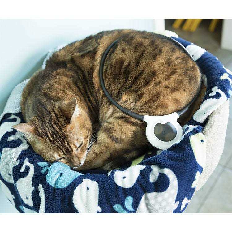 Assisi Loop 2.0 Manual - Pet Supplies online store
