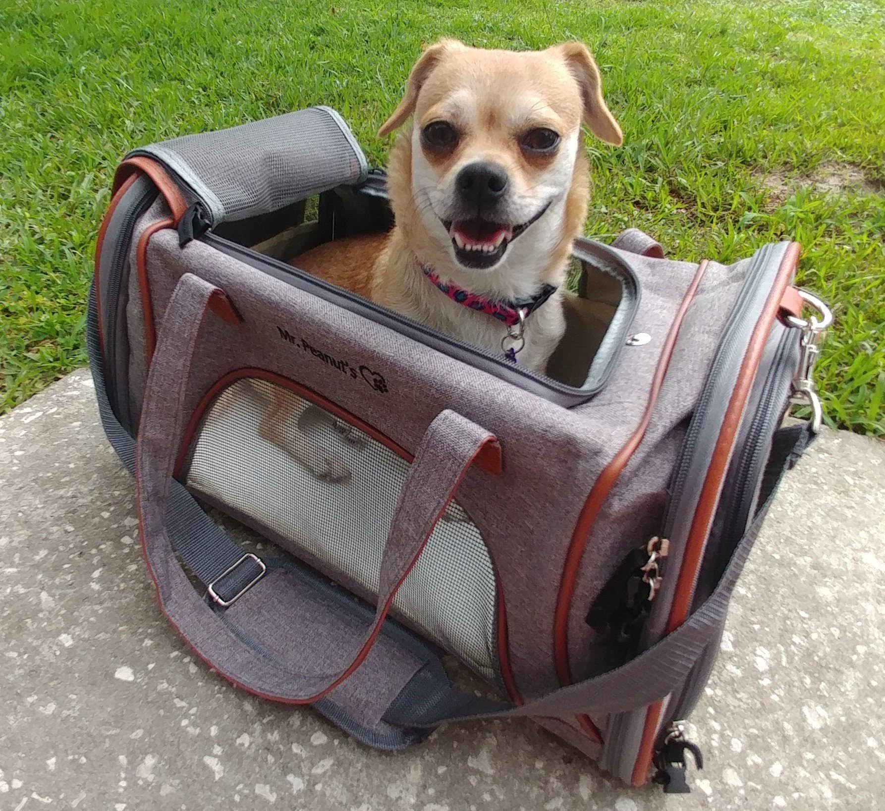 Mr. Peanut&s Gold Series Airline Approved Tote - Low Profile, Soft Sided Premium Pet Carrier