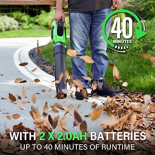 SOYUS Cordless Leaf Blower & Leaf Vacuum with Battery and Charger