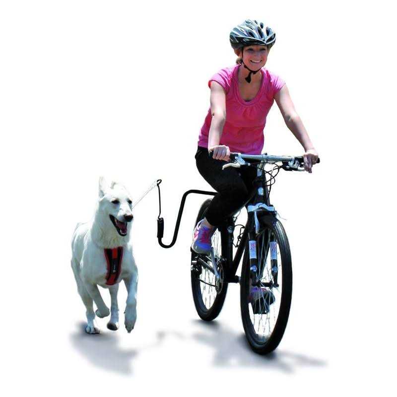 Springer Hands Free Dog Leash Bike Attachment Kit -Pet Exerciser for Running - Pet Supplies online store