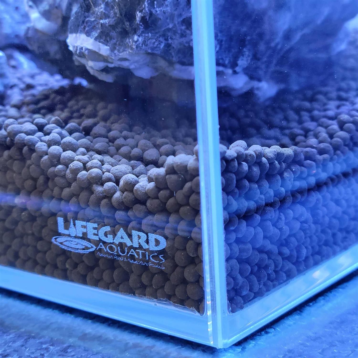 Lifegard Long Clear Glass Bookshelf Aquarium - Pet Supplies online store