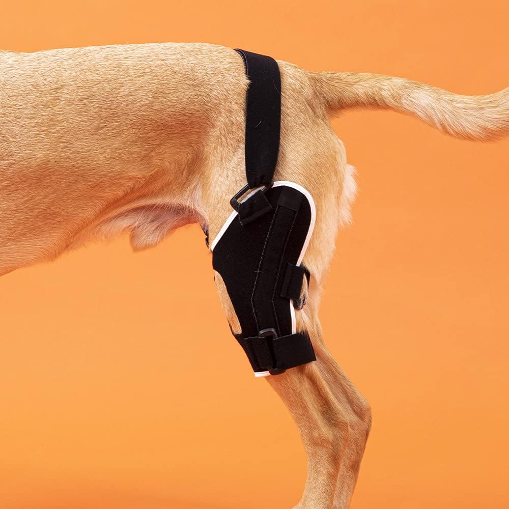 Poveo hinged Dog Knee Brace with Patella Tracker - Neoprene Canine Stifle Support for Dogs with Flexible Support, Torn ACL, Patella Luxation, osteoarthritis, limping from Joint Pain, Hip dysplasia