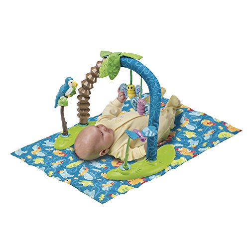 Evenflo ExerSaucer Triple Fun+ World Explorer Bouncing Activity Saucer