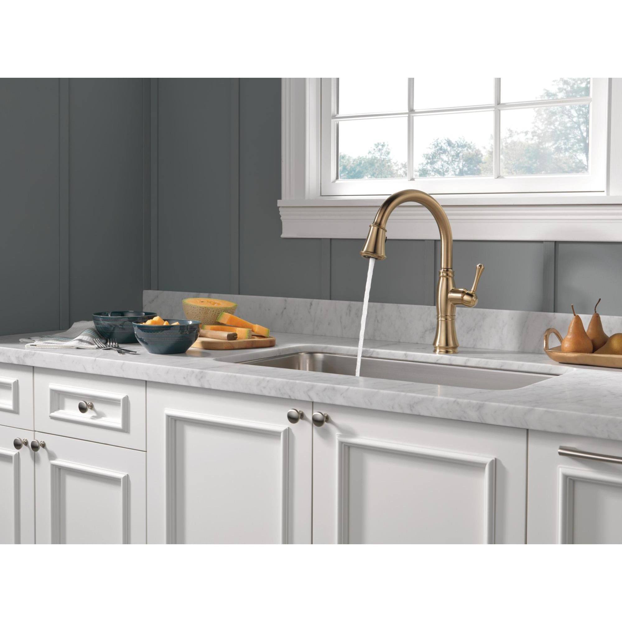 Delta 9197-DST Cassidy Chrome Single Handle Pull Down Kitchen Faucet