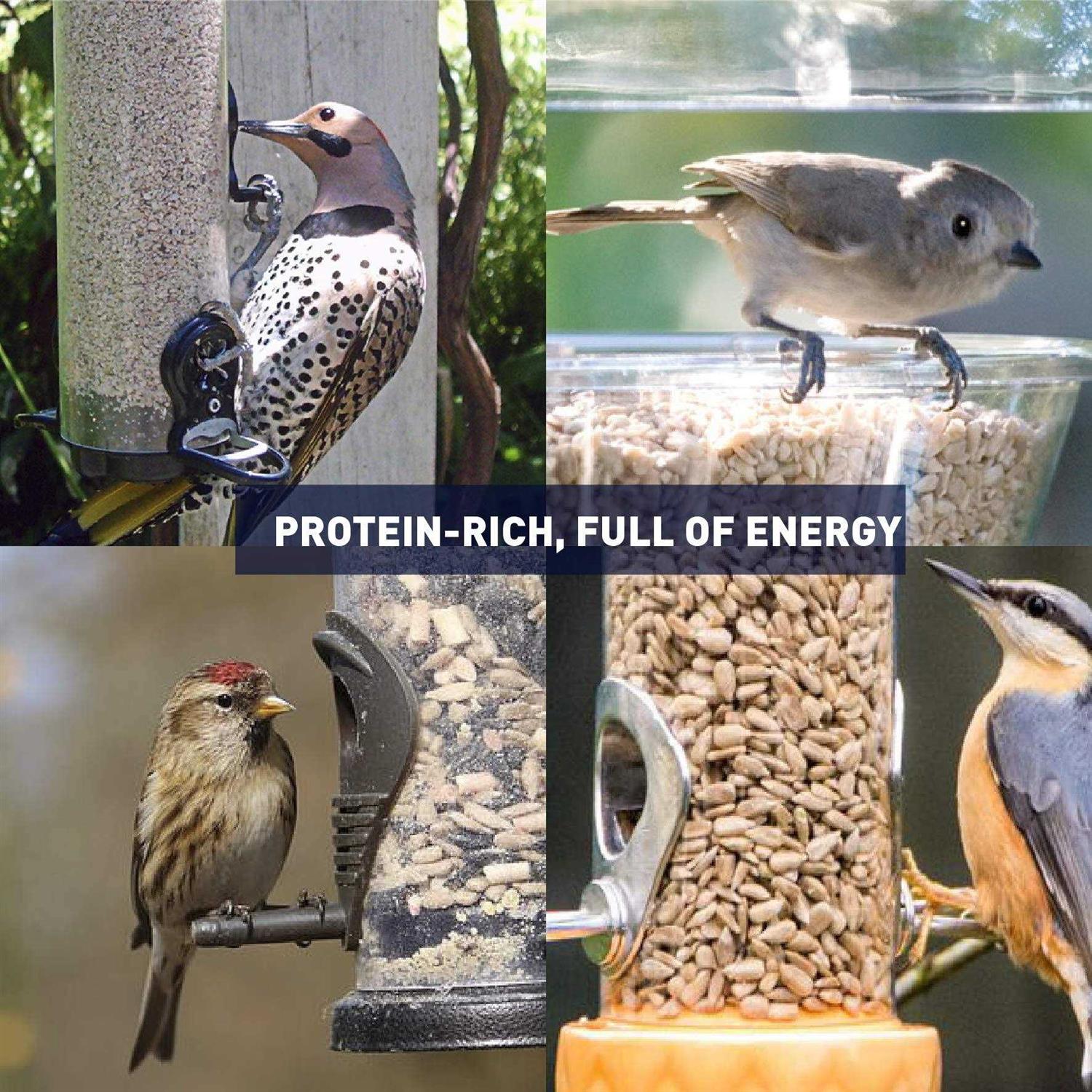 EASYGO PRODUCTS Sunflower Kernels Sun Flower Chips Wild Bird Food 50 lb - Pet Supplies online store