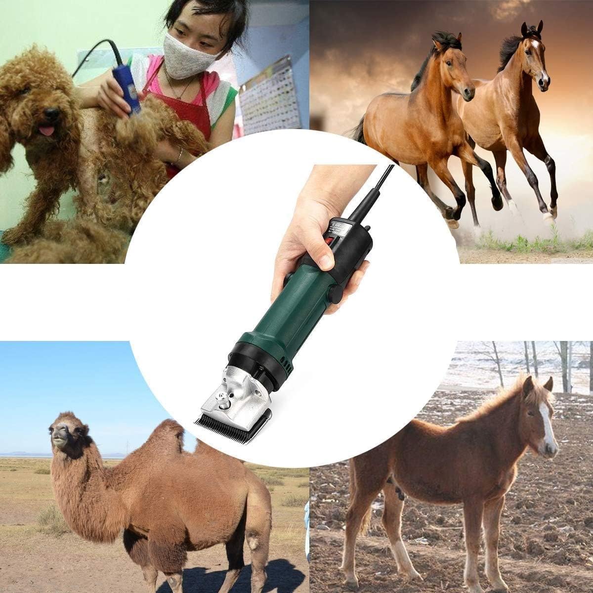 Electric Wool Shears Wool Shears for Sheep Shearing Professional Cattle, Sheep and Goat Shears Pet Hair Trimmer with 6 Speeds