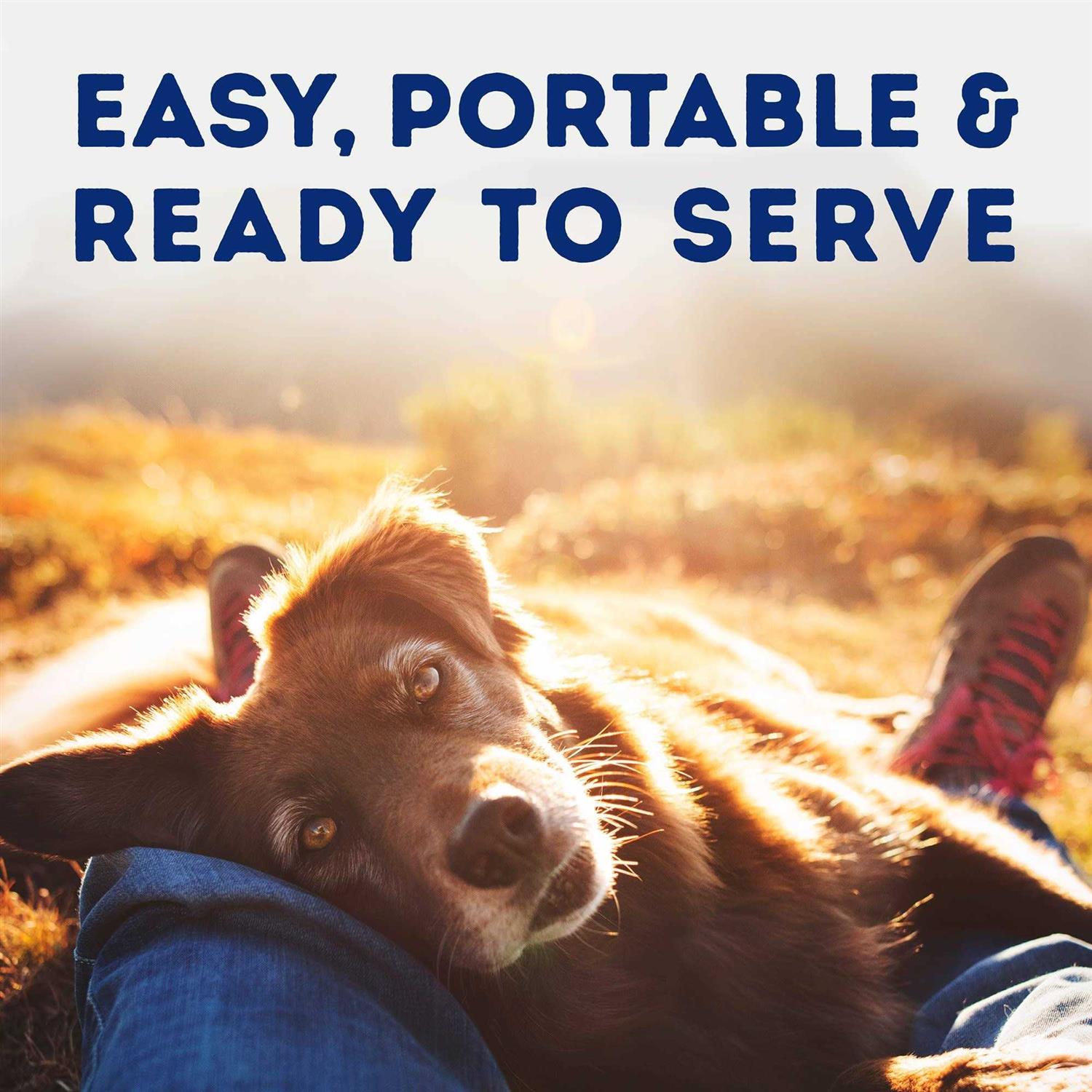Natural Balance Platefulls Savory Duck &amp; Pumpkin Recipe Wet Dog Food - Pet Supplies online store