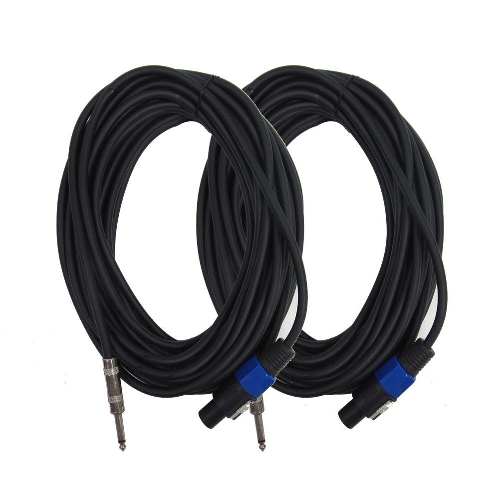 Seismic Audio - SASPT14-25 (2 Pack) - 25 Foot Speakon to 1/4 PA DJ Speaker Cable - 2 Conductor - 14 Guage Pack of 2
