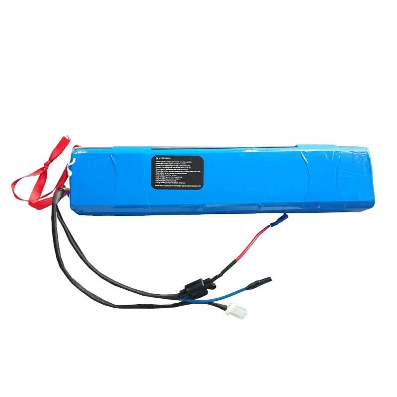 Nakto Electric Bike Lithium Battery Various Models Skylark 36V 10Ah