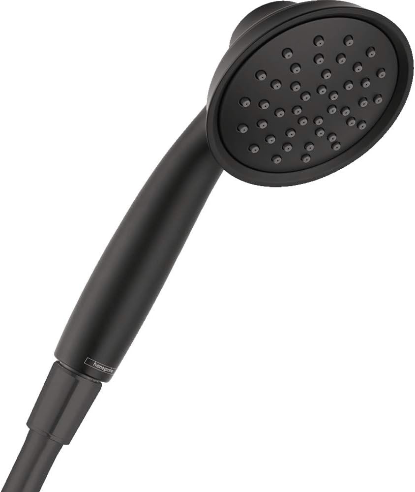 hansgrohe Joleena 4-inch Handheld Shower Head Transitional 1 -Spray Full 04782670