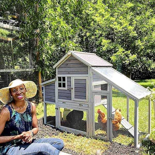 Aivituvin Wooden Chicken Coop 65 in. for 2-3 Hens AIR32 - Pet Supplies online store