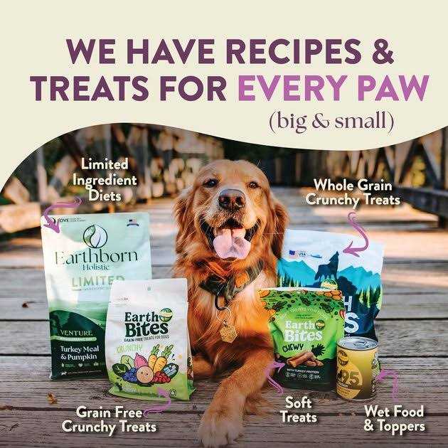 Earthborn Holistic Unrefined Roasted Lamb with Ancient Grains &amp; Superfoods Dry Dog Food - Pet Supplies online store