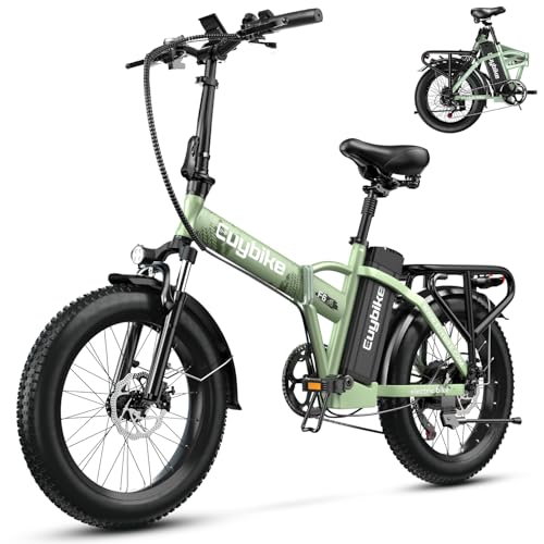 1000W Folding Electric Bike, 48V 20AH Large Removable Battery E Bike, 30+MPH, 80 Miles Max Range, 20" Fat Tire Electric Bike for Adults, Adult Electric Bicycles for Commute Beach Snow