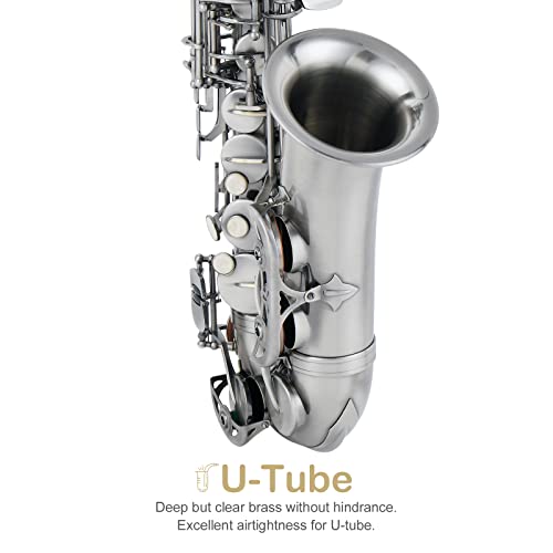 Ktaxon Alto Saxophone Drop E Flat Brass Sax Beginner Sax Full Kit with Mouthpiece, Carrying Case, Gloves, Cleaning Cloth Bar, Detachable Strap, Shoulder Strap, Reed
